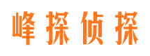 新兴市私家侦探